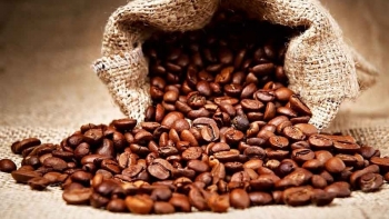 Giá cà phê hôm nay 4/6: Biến động trái chiều trên thị trường thế giới
