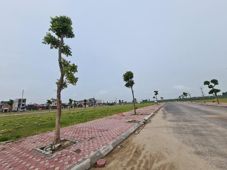 Tin bất động sản ngày 4/6: Huyện Mê Linh đấu giá 17 lô đất, giá trúng cao nhất 85 triệu đồng/m2