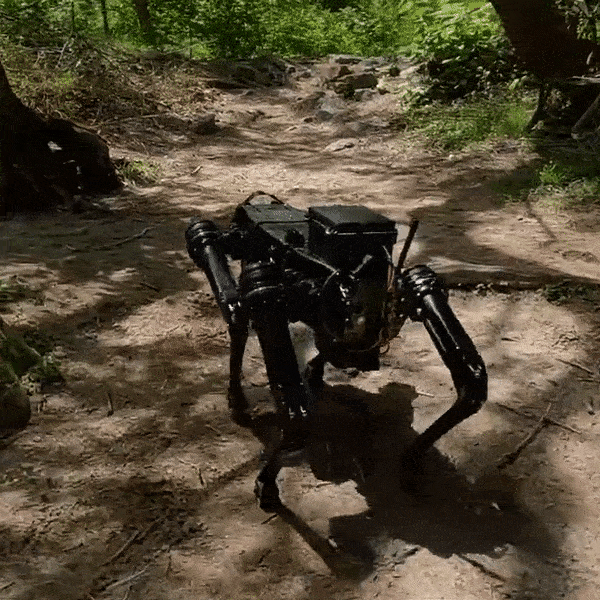 Chú chó robot đầu tiên trên thế giới có thể 