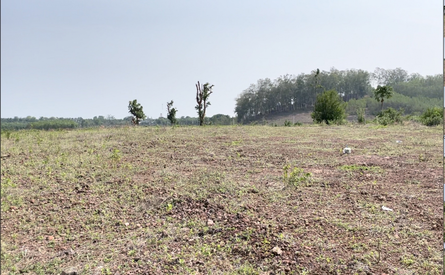 Bà Rịa - Vũng Tàu: Sẽ định giá bổ sung 70 khu đất để thực hiện dự án