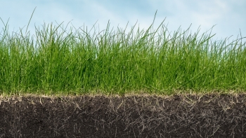 Canh tác carbon - Một trong những ưu tiên của chính sách nông nghiệp (Phần I)
