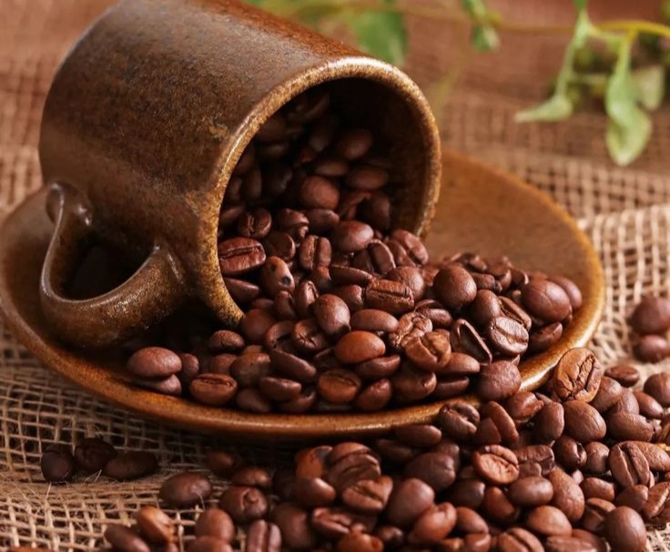Giá cà phê hôm nay 28/6: Thị trường cà phê trong nước biến động nhẹ
