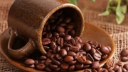 Giá cà phê hôm nay 28/6: Biến động nhẹ tại thị trường trong nước