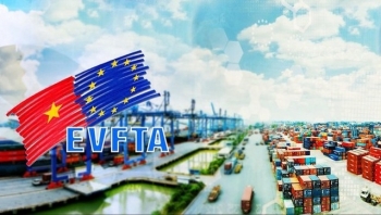 Thuế xuất khẩu ưu đãi thực hiện Hiệp định EVFTA dự kiến từ 14,8%-7,5%