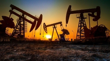[Dự đoán] Giá dầu thô WTI có thể quay đầu tăng trong tuần này