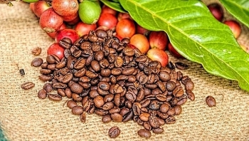 Nhận định: Giá cà phê có thể tiếp tục tăng trong phiên hôm nay