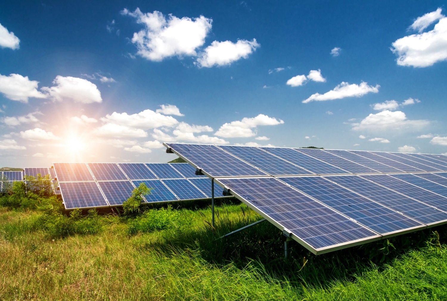 Engie và P&G hợp tác trong dự án năng lượng mặt trời mới ở Texas