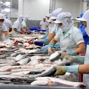 Tin tức kinh tế ngày 31/12: Trung Quốc siết chặt quy định nhập khẩu thực phẩm