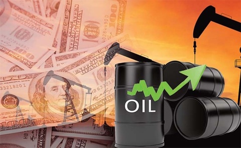 Giá dầu phục hồi do lượng dự trữ dầu thô của Mỹ giảm mạnh
