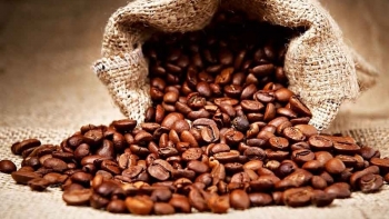 Giá cà phê hôm nay 10/3: Tăng nhẹ