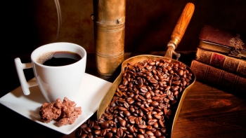 Giá cà phê hôm nay 4/4:  Tăng nhẹ 100 đồng/kg