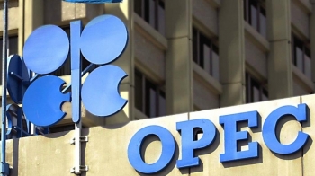 OPEC và IEA điều chỉnh giảm dự báo nhu cầu dầu