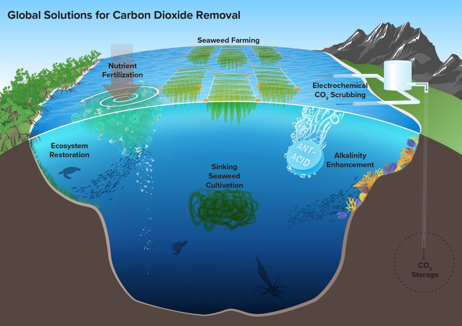 Nghiên cứu loại bỏ carbon dioxide để làm sạch không khí