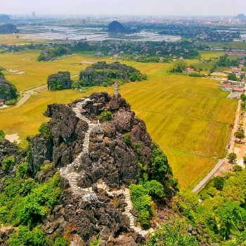 Chuyển mục đích sử dụng đất tại tỉnh Ninh Bình