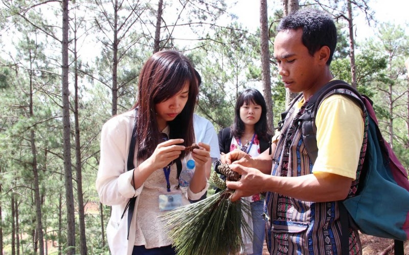 Lâm Đồng tạm ngừng nhận hồ sơ thuê môi trường rừng kinh doanh du lịch