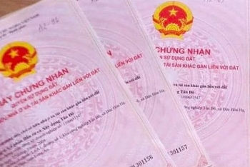 Khánh Hòa: Huyện Cam Lâm tạm dừng tiếp nhận giải quyết hồ sơ chuyển mục đích sử dụng đất