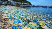 Triển khai 6 nhiệm vụ trọng tâm xây dựng thỏa thuận toàn cầu về ô nhiễm nhựa đại dương