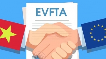 EVFTA: Đòn bẩy thúc đẩy quan hệ thương mại Việt Nam - Đan Mạch
