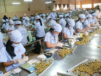 Bến Tre: Hỗ trợ doanh nghiệp mở rộng sản xuất và thị trường tiêu thụ dừa