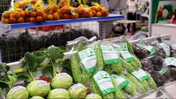 Còn nhiều cơ hội để các doanh nghiệp ngành hàng rau quả của Việt Nam đẩy mạnh sang thị trường EU