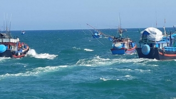 Hỗ trợ hơn 2,4 nghìn tỷ đồng cho ngư dân Quảng Ngãi bám biển xa