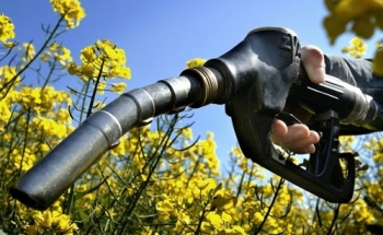 Các nhà máy lọc dầu tranh chấp từ bỏ nhiên liệu sinh học nhận được đồng thuận