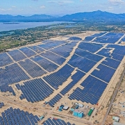 3 nhà máy điện mặt trời ở Bình Định bị xử phạt vì lý do gì?