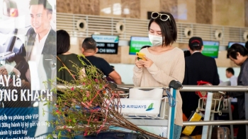 Bamboo Airways triển khai vận chuyển đào, mai dịp Tết Nhâm Dần 2022