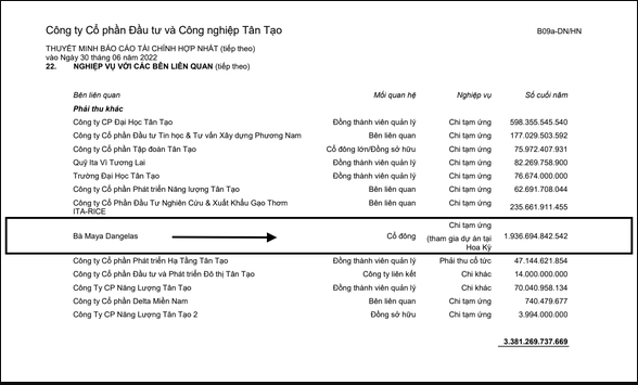 Công ty Tân Tạo thay đổi báo cáo tài chính do 