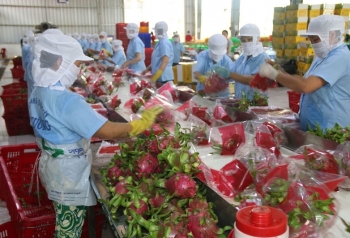 Tiếp tục xét nghiệm virus SARS-CoV-2 trên nông sản, hàng hóa của Việt Nam