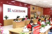 Tin ngân hàng ngày 14/9: Agribank bán 4 lô đất tại TP HCM với giá khởi điểm gần 100 tỉ đồng