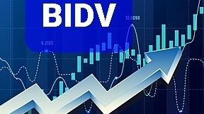 Tin nhanh chứng khoán ngày 17/11: Thị trường phục hồi ngoạn mục, cổ phiếu Ngân hàng BIDV "khoe sắc tím"