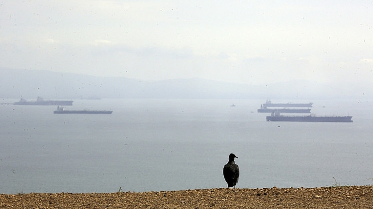 Xuất khẩu dầu trên biển của Nga đạt kỷ lục mới bất chấp các cuộc đàm phán về cấm vận của EU
