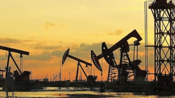 Giá dầu ít biến động trong bối cảnh tồn kho dầu của Mỹ giảm