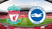 Link xem trực tiếp Liverpool vs Brighton (Ngoại hạng Anh), 21h ngày 1/10